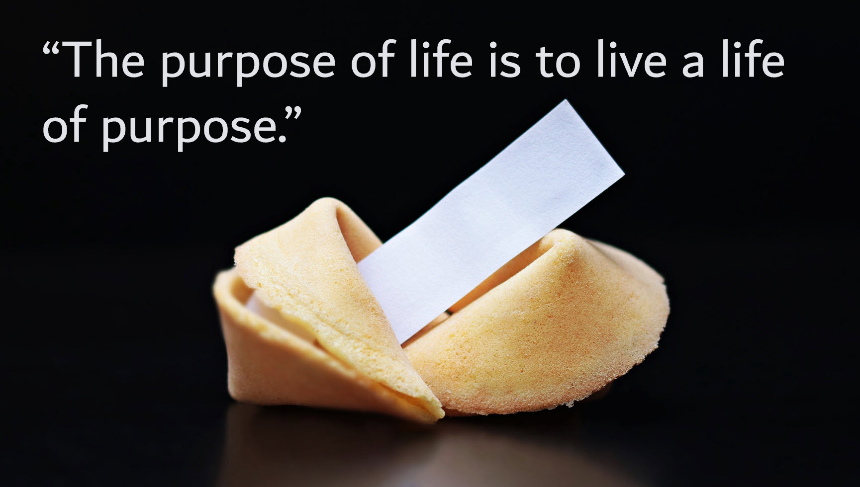 the purpose of live is to lead a life of purpose